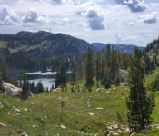 2019 Montana Folder19 002